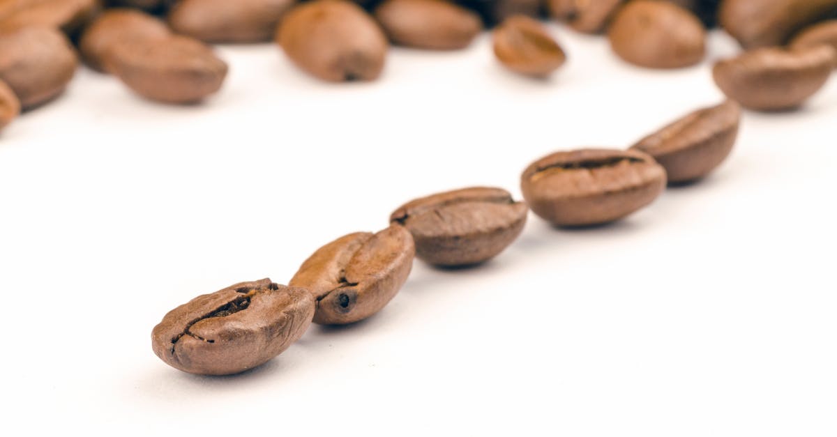 découvrez l'importance de la qualité dans tous les aspects de votre vie. apprenez comment assurer des standards élevés dans vos produits et services pour satisfaire vos clients et améliorer votre réputation.