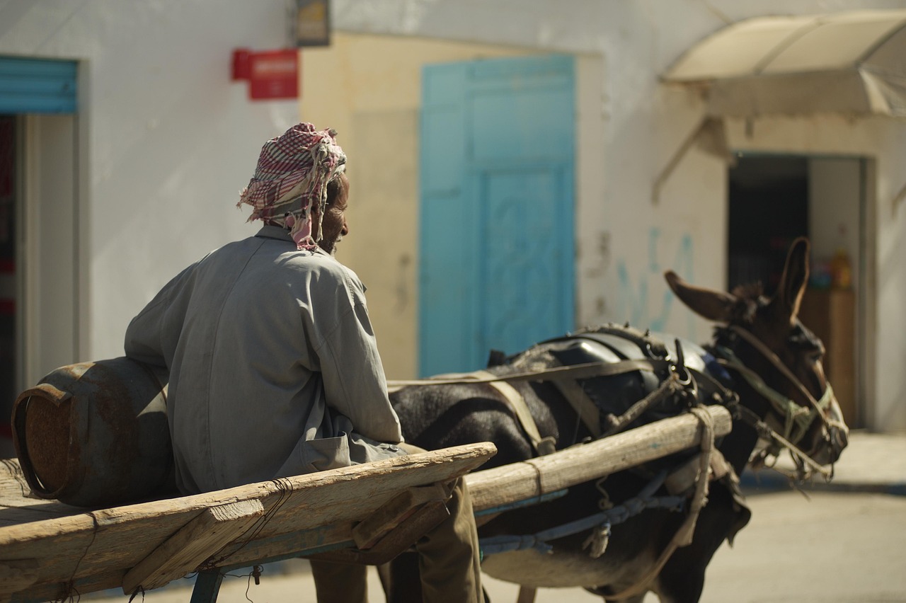 Créer un site web gratuit en tunisie : guide et outils indispensables en 2025