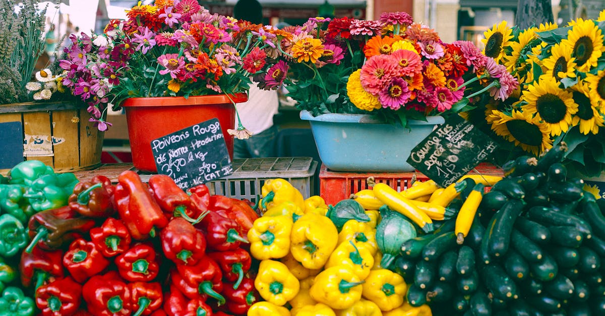 Ouverture de marché : comprendre les enjeux et opportunités