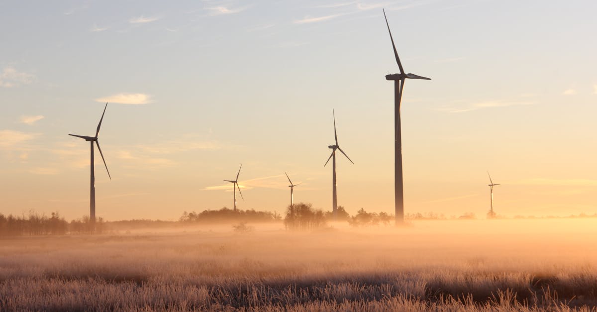 La campagne : enjeux écologiques et économiques en 2025